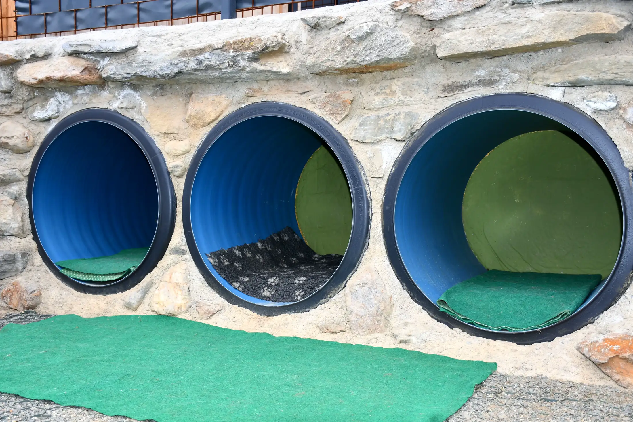 Gallery image 2